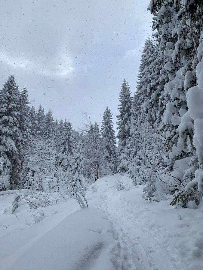 Challet Jasna Exclusive **** Demanovska Dolina Bagian luar foto