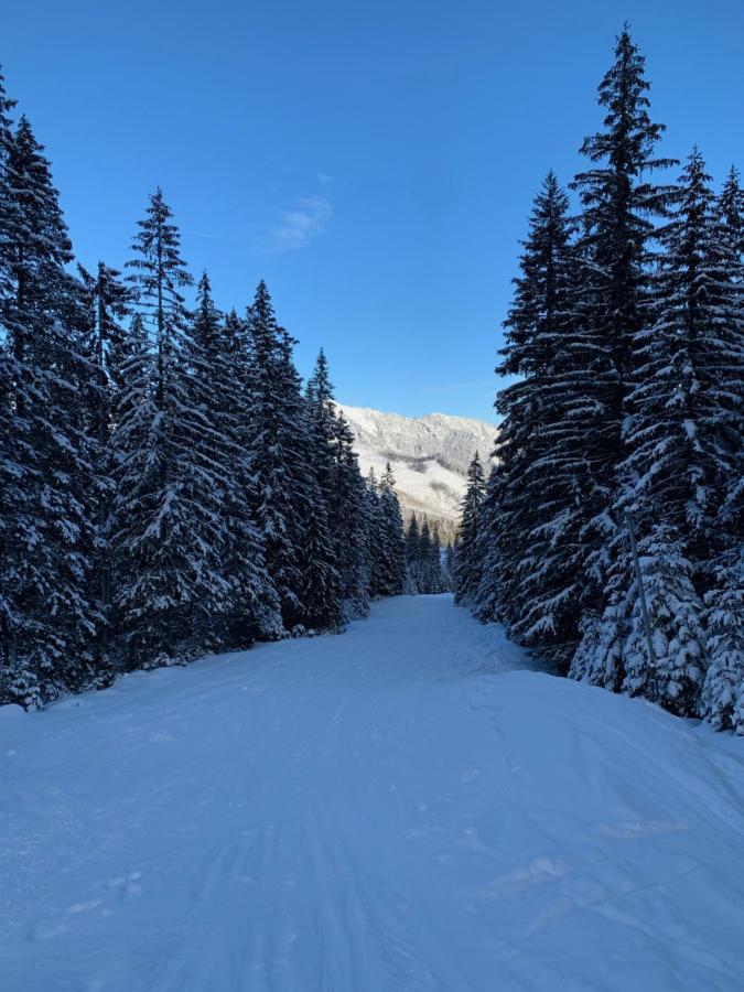 Challet Jasna Exclusive **** Demanovska Dolina Bagian luar foto